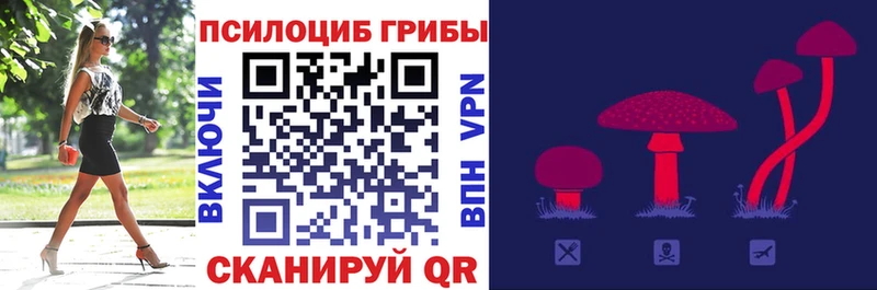 Галлюциногенные грибы прущие грибы  блэк спрут вход  Фрязино  купить  